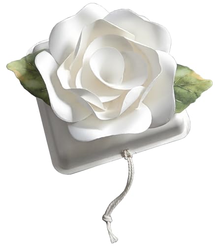 Biodegradable Urn Eco Burial Urns Biodegradable Water Urns Cremation Ocean Scattering Floating Urn for Human Ashes (M) - size: Medium