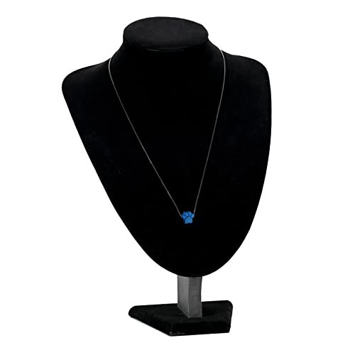 Paw Print Urn Cremation Necklace for Ashes Dog Cat Pet Paw Print Animal Keepsake Memorial Charm Pendant Necklace for Men Women
