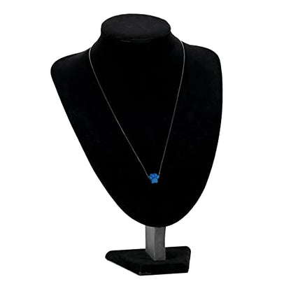 Paw Print Urn Cremation Necklace for Ashes Dog Cat Pet Paw Print Animal Keepsake Memorial Charm Pendant Necklace for Men Women