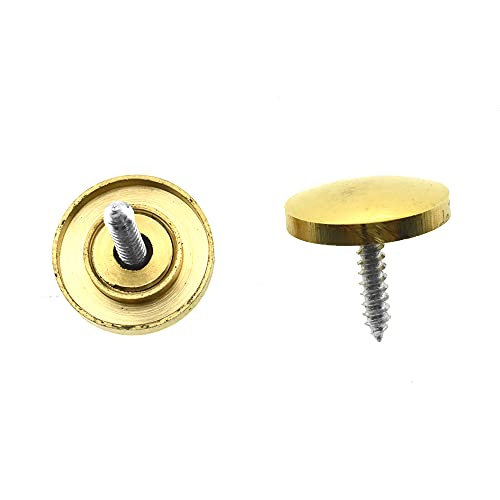 Hahiyo 20mm Diameter Mirror Screws Brushed Stainless Steel Solid Easy Install Brass Washer Decorative Caps Fasteners Nails Gold 8 Pairs for Bathroom Mirrors Panels Kitchen Ceiling Arts Crafts - size: 20mm-8sets-Gold