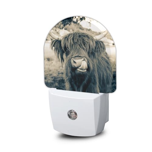 Dark Highland Cow Night Light, Night Light Plug into Wall with Dusk to Dawn Sensor, LED Lamp Energy Saving Lights for Men Women Boys Girls,Lamp for Bedroom Bathroom Hallway - color: Dark Highland Cow