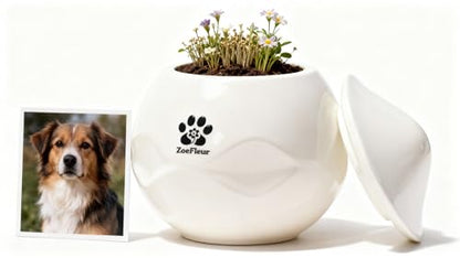 Landscape Art Pet Urn, Resin Memorial Box for Cat or Dog Ashes, Small Keepsake(A-White) - color: A-white