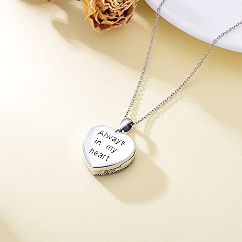 Dorunmo Personalized Locket Necklace 925 Sterling Silver that Holds Pictures Butterfly Birthstone Photo Heart Locket Custom Jewelry Congratulations New Beginnings New Job Gifts for Women - color: Abalone Tree of Life, style: Only Locket