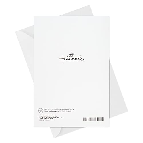 Hallmark Sympathy Card (Hoping You Find Comfort) - color: 10 Cards with Envelopes