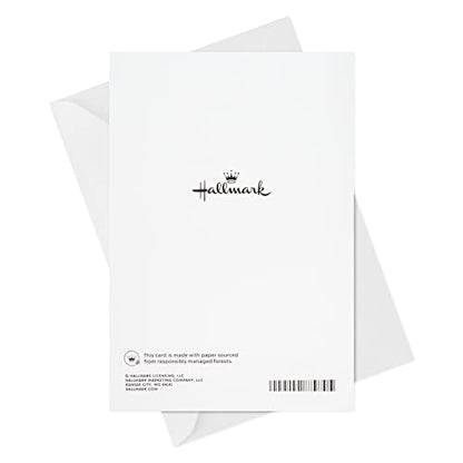 Hallmark Sympathy Card (Hoping You Find Comfort) - color: 10 Cards with Envelopes