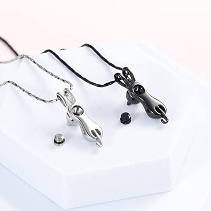 Imrsanl Pet Cremation Jewelry for Ashes Cat Urn Necklace - color: 2pcs-Silver/Black