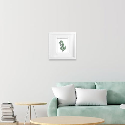 3 Pack Shadow Box Frames, 8 x 8 Inches Square Artificial Board Shadow Boxes Display Case, White 3D Picture Frames for Photos, Dried Flowers, Wall Mounted Handicraft Photo Frame