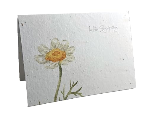 Of The Earth Handmade Paper - Plantable Wildflower Seed Folding Card - Sympathy Designs - 5" x 7" - Set of 3 - w/Recycled Envelopes (Daisy Floral) - color: Daisy Floral