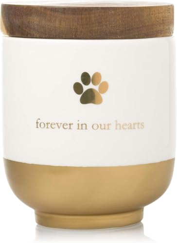 Pearhead Pet Ceramic Forever in Our Hearts Urn, Pet Memorial, Dog Or Cat Keepsake Urn, Rainbow Bridge, Gold, One Size (Pack of 12) - style: My Heart Urn, Gold (Pack of 12)