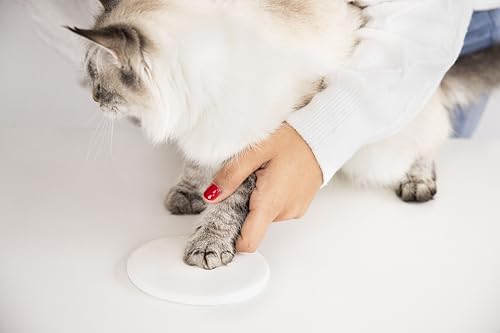 Pearhead Cat Paw Print Keepsake, Fish Shape Hanging Keepsake for Pets - color: Fish Cat's Pawprint Keepsake, size: 1-Pack