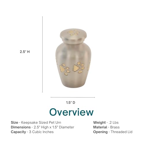 Pewter with Gold Paw Prints Pet Keepsake Cremation Urn for Ashes, Brass, Silver Urn, Dog Urn, Cat Urn, Keepsake Sized Pet Urn, 2.5 Inches High - color: Pewter Silver