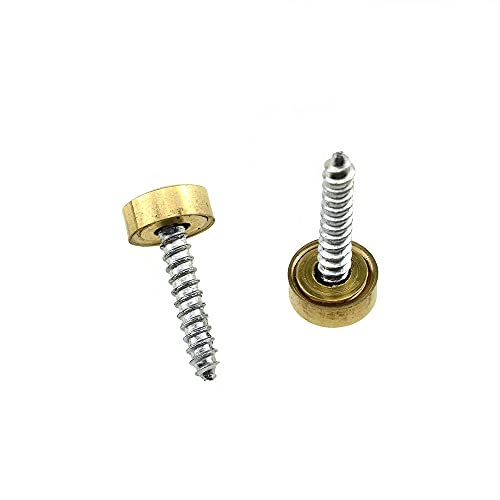 Hahiyo 10mm Diameter Mirror Screws Brushed Stainless Steel Solid Easy Install Brass Washer Decorative Caps Fasteners Nails Gold 20 Pairs for Bathroom Mirrors Panels Kitchen Ceiling Arts Crafts - size: 10mm-20sets-Gold
