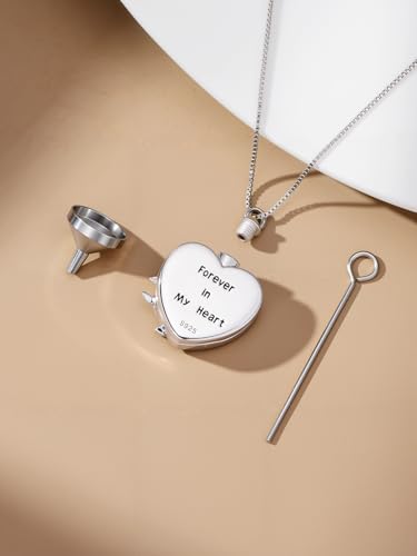 WINNICACA Cremation Jewelry for Ashes Locket Ashes Necklace Urn Necklace for Women Sterling Silver Cremation Necklace for Ashes Fine Keepsake Picture Necklace Memorial Jewelry - style: D01-Hummingbird Urn Necklace(Abalone)