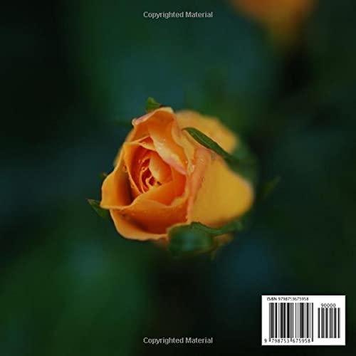 Funeral Guest Books Celebration Of Life: Yellow Button Rose - Memorial Funeral Guest Book