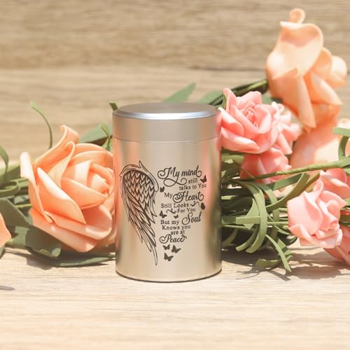 3 Inches Small Urns for Human Ashes Set of 8 Mini Urns for Sharing Small Keepsake Urns Memorial Ashes Holder-Wing - size: Set of 8-heart wing