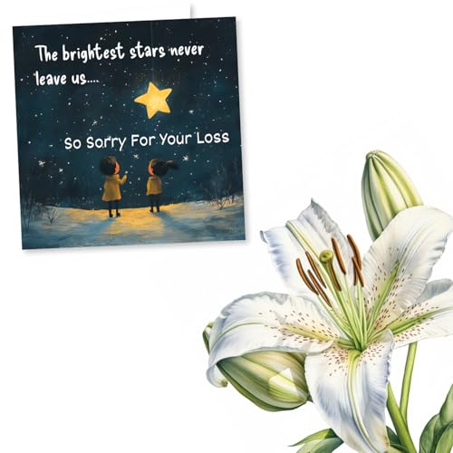 Beautiful Sympathy Card for Loss of Loved One - Grief and Death, Loss - The Brightest Stars Never Leave Us, So Sorry For Your Loss - For a Friend, Best Friend, Relative, Other
