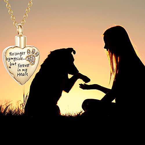 Fashion Pet Cremation Jewelry Stainess Steel Heart Keepsake Ashes Necklace Dog Cat Paw Memorial Urn Pendant - color: G-White