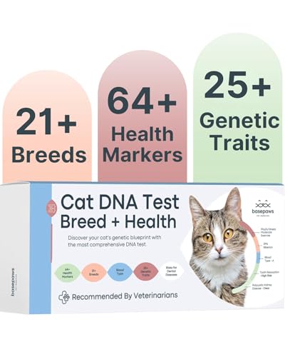 Basepaws Cat DNA Test Kit, Breed, Health & Dental Insights, 114 DNA Traits - size: 1 Count (Pack of 1)