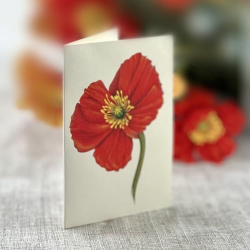 Freshcut Paper Pop Up Cards, French Poppies, 12 Inch Life Sized Forever Flower Bouquet 3D Popup Greeting Card, Birthday Cards, Thank You Card, Blank Notecard & Envelope - color: French Poppies New, size: Classic