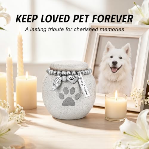 SOITIS Customized Pet Urns for Cat Dog Urns for Ashes 2.76“ Ceramic Pet Urn - color: Custom-2.76" Paw