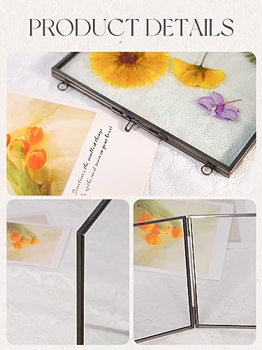 REDHUGO Glass Pressed Flower Frames, Square, Black, 4x4 Inches - color: Black, size: 4L" x 4W"