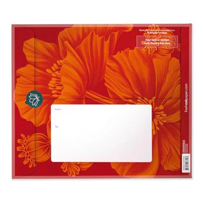 Freshcut Paper Pop Up Cards, French Poppies, 12 Inch Life Sized Forever Flower Bouquet 3D Popup Greeting Card, Birthday Cards, Thank You Card, Blank Notecard & Envelope - color: French Poppies New, size: Classic
