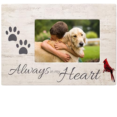 Dog Memorial Picture Frame, Always in My Heart Pet Loss Gift with Cardinal & Paw Print Design, Wood Look 4x6 Photo Frame for Dog or Cat Sympathy, Pet Remembrance Gift, Measures 10 x 7 Inches