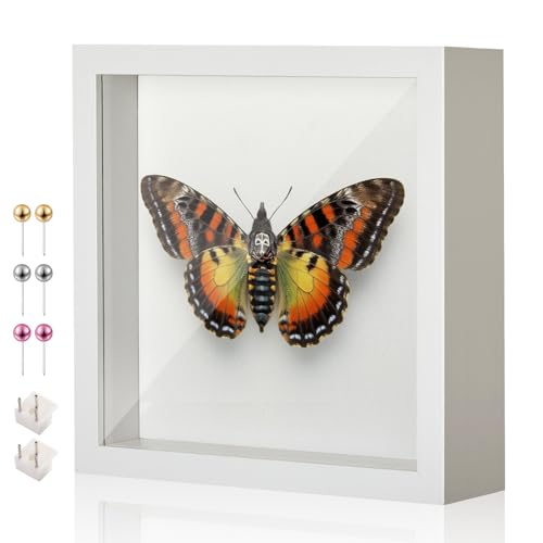 8x8 Shadow Box Frame with Thickened Acrylic Panel & Pins | With Linen Back and Stand, Deep 1.2" White Shadow Box Display Case – Display on Tabletop or Wall for Photo, Flower, Keepsakes - color: White+foam Back+foam Packaging, size: 8x8
