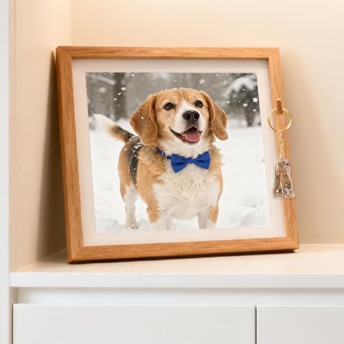 ELANE Dog Hair Keepsake，2 Pack Pet Hair Memorial Keepsake Pet Hair Keychain Keepsake (Clear-Beagle) - color: Clear-beagle