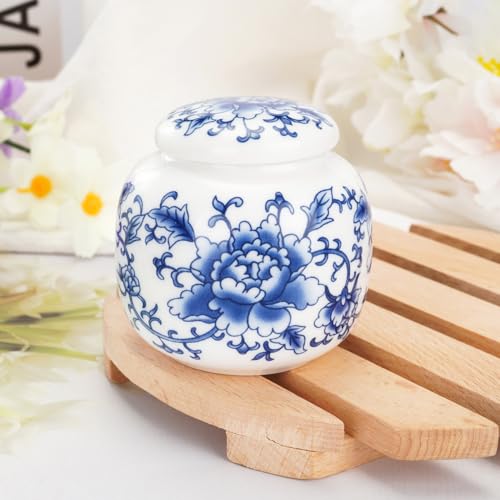 Abooxiu Small Urns for Human Ashes Keepsakes Ceramic Mini Urns Blue and White Porcelain Cremation Keepsake Urn for Ashes for Women Men Pets Urn Memorial Ash Keepsake for Loved Ones