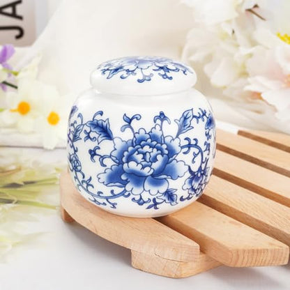 Abooxiu Small Urns for Human Ashes Keepsakes Ceramic Mini Urns Blue and White Porcelain Cremation Keepsake Urn for Ashes for Women Men Pets Urn Memorial Ash Keepsake for Loved Ones