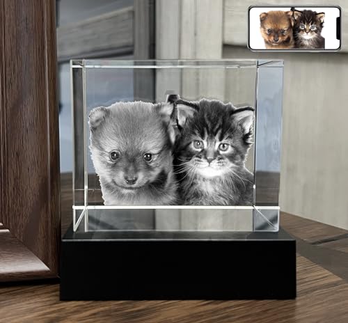 Personalized Dog, Cat Memorial Gifts for Pet Owners. Gift Box Included, Customized Laser Etched Crystal Photo (Medium Landscape) - size: Medium Landscape