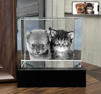 Personalized Dog, Cat Memorial Gifts for Pet Owners. Gift Box Included, Customized Laser Etched Crystal Photo (Medium Landscape) - size: Medium Landscape