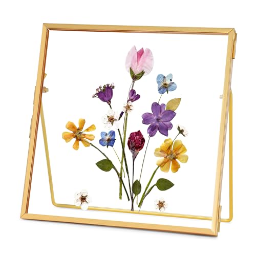 REDHUGO Double Glass Frame for Pressed Flowers, Square, Gold, 4x4 Inches - color: Gold, size: 4L" x 4W"