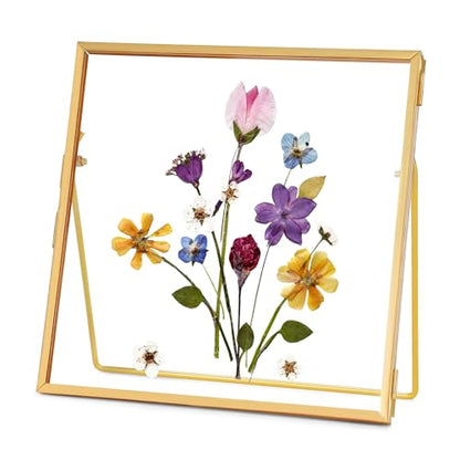 REDHUGO Double Glass Frame for Pressed Flowers, Square, Gold, 4x4 Inches - color: Gold, size: 4L" x 4W"