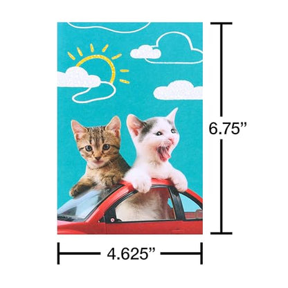 American Greetings Blank Cards and Envelopes Assortment Box, Funny Cats, 15 count