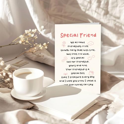 Special Friend Birthday Card Best Friend Gift Meaningful Friendship Card | Heartfelt Birthday Card for Her Him, Thank You for Being in My Life Card for Sister Friend Soulmate with Envelope - color: WY-277