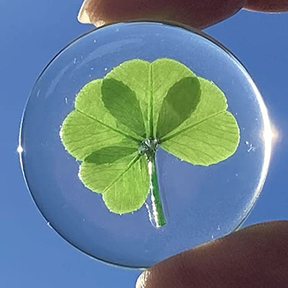 Real Four Leaf Clover Good Luck Pocket Token, Preserved, Preserved-Flowers, 1.25”