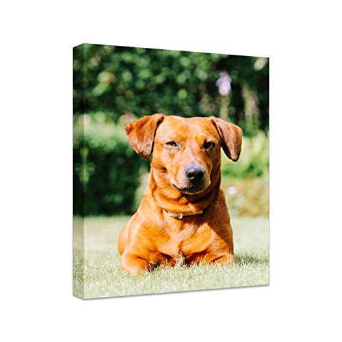Personalized Photo to Canvas Print - Canvas Prints With Your Photos on Custom Wall Art for Bedroom, Living Room, Wedding Baby Pet Family Picture Framed Wall Art (12" W x 16" H) - size: 12"L x 16"W