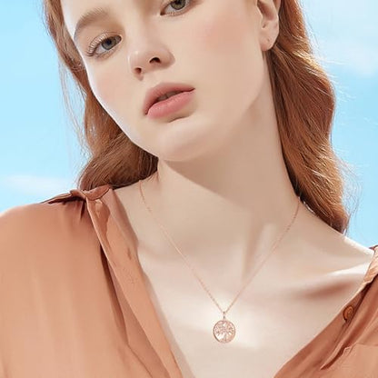 TUGHRA Mother's Day Gifts Gold Locket Necklaces for Women, 925 Sterling Silver Heart Photo Lockets Memorial Keepsake Jewelry Gift for Mom, Wife, Daughter - style: 0372-Rose Gold