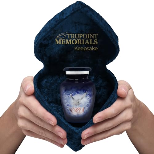 Trupoint Memorials Small Urns for Human Ashes Keepsake, Decorative Mini Cremation Urn for Adult Men and Women, Small Blue Dove with Velvet Heart Box - color: Blue Dove
