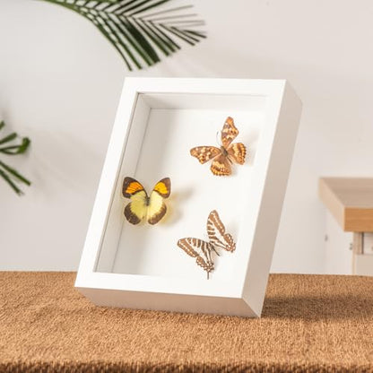 5x7 Small Shadow Box Frame with Ultra-Clear Glass & Soft Linen Back | With Push Pins and Stand, Deep 1.2" White Shadow Box Display Case – Display on Tabletop or Wall for Photo, Flower, Keepsakes - color: White+high Definition Panel + Shatter-proof Packagi