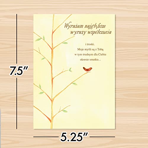 Designer Greetings Polish Language Sympathy Card 6 Pack | Polish Language Sentiment, Boxed Card Set, Matching Envelopes - style: 6 PK Polish Sympathy - Red Jay