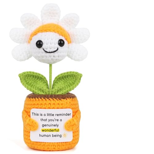 Sizobi Positive Crochet Coworkers Gifts, Handmade Emotional Support Flowers | Inspirational Birthday Christmas Gift for Best Friend,Teacher, Sister, Mom, Appreciation Thank You Gift for Women,Men - style: A Little Reminder