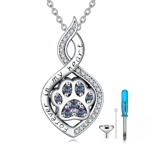 Butterfly/Dragonfly/Pet Paw/Tree of Life/Maple Leaf/Cross Urn Necklace for Ashes 925 Sterling Silver Cremation Pendant Jewelry Gifts for Women Mom - color: Paw-June