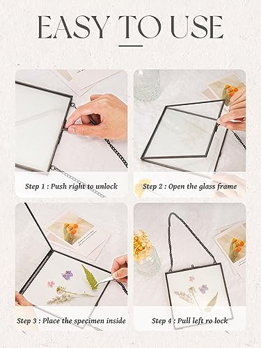 REDHUGO Glass Pressed Flower Frames, Square, Black, 4x4 Inches - color: Black, size: 4L" x 4W"
