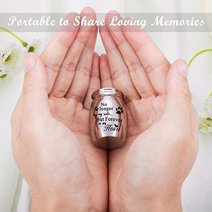 XIUDA 1.57 inches Mini Pet Memorial Small Urns for Dog and Cat Ashes, Stainless Steel Cremation Urn, Pet Paw Print Keepsake Urn for Ashes - color: S Silver-engraving