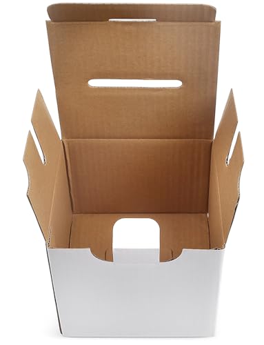Raffle Ticket Donation Collection Ballot Box Reusable Sturdy thick Cardboard with Slot comment Suggestion Box With Removable Header 6H x 6W x 6D, Display area 6H x 6W(Pink 5 pack) - color: Pink