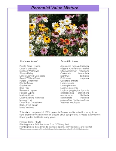 Perennial Wildflower Seeds – GevaGrow 1oz Packet Covers 100 Sq Ft | 20 Species of Non-GMO, Organic Flowers | High Germination, Pure Seed Mix for Outdoor Planting, Gardens, Pollinators & Bees - style: Premium Perennial Mix
