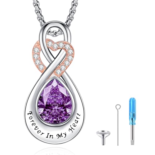 Infinity Urn Necklace for Ashes Sterling Silver Heart Moonstone Turquoise Birthstone Keepsake Memorial Cremation Jewelry for Women - style: Infinity A-02-Feb.-Amethyst